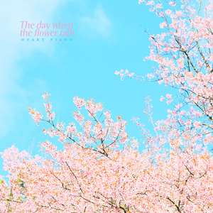 꽃비 내리는 날 (下花雨的日子)