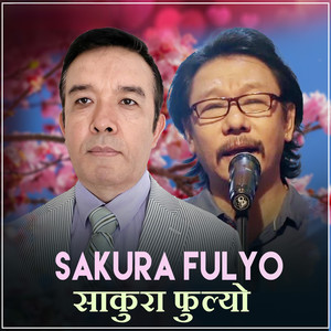 Sakura Fulyo