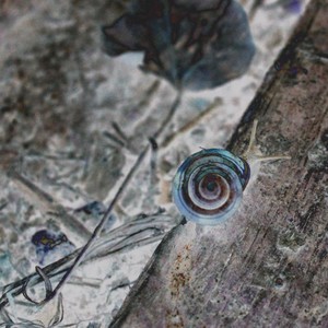 Take My Time (Explicit)