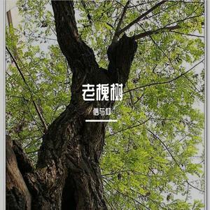 老槐树