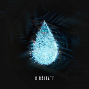Circulate (Extended Mix)