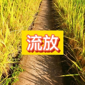 活着为什么 (燃烧版)