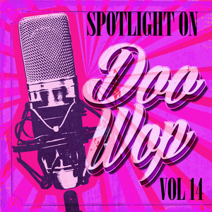 Spotlight on Doo Wop, Vol. 14