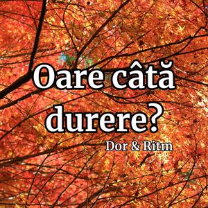 Oare câtă durere?
