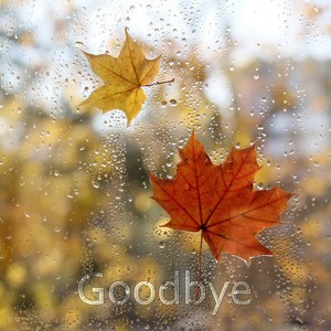 Goodbye (Extended Mix)