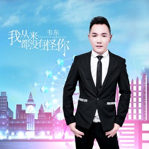 我从来都没有怪你 (DJ伟然版)