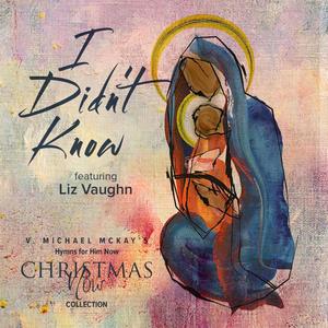 I Didn't Know(feat. Liz Vaughn)