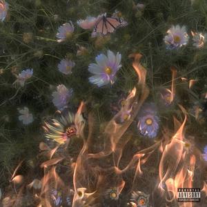 Letscht Tag (feat. Djenael)