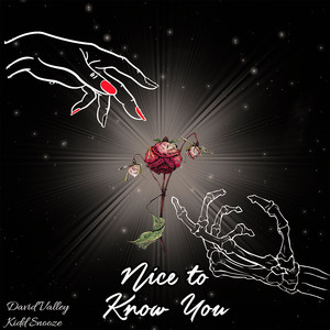 Nice to Know You (Explicit)