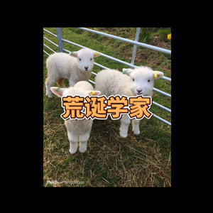 撒地 - 荒诞学家 (坏坏版)