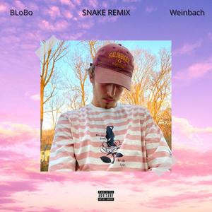 Snake (feat. Weinbach)