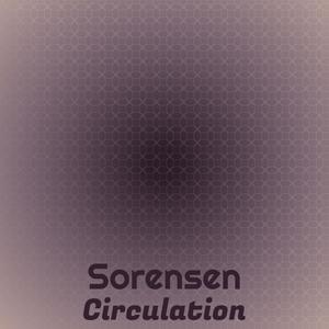 Sorensen Circulation