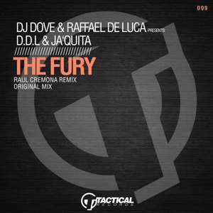 The Fury (Raul Cremona Remix)