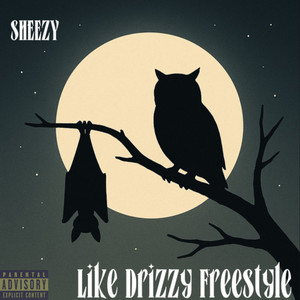 Like Drizzy Freestyle (Explicit)