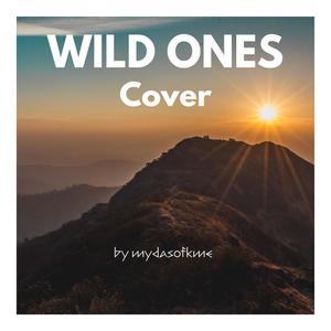 Wild Ones (Explicit)