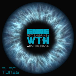 W.T.H. (What the House) [feat. Sandrine]