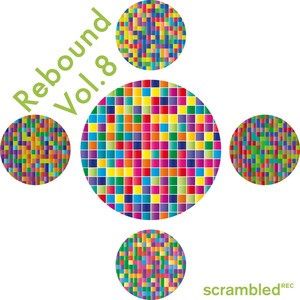 Rebound, Vol. 8