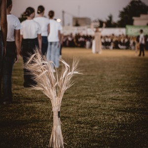 Zonaradika (Western Thrace, Anatoliki Romilia) (Live)