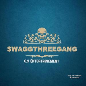 WELCOME TO SWAGG (feat. Lil Poba, Grs_Bvndo, Young BIBI, Dam7_14, MT Key & Trippie x__x) [Explicit]