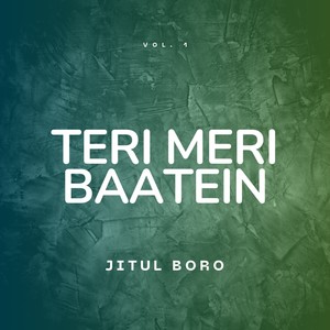 Teri Meri Baatein