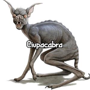 Ciupacabra (Explicit)