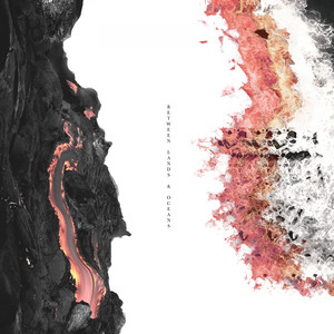 Bird Odyssey (Original Mix)