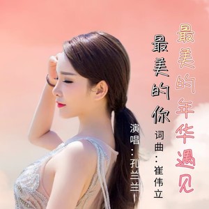 最美的年华遇见最美的你 (伴奏)