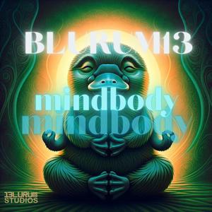 MIndbody (Explicit)