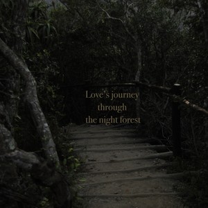 Love's journey through the night forest