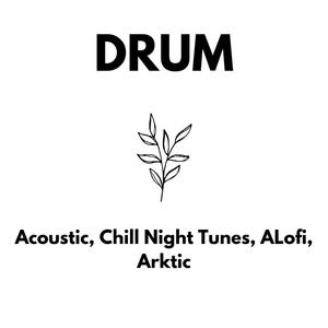 DRUM (feat. ALofi, Acoustic & Arktic)