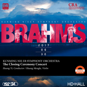 Violin Concerto - I (Live)