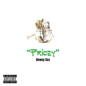 Pricey (Explicit)