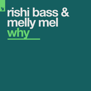 Why (Radio Mix|Explicit)