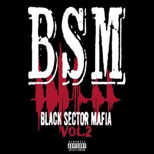 BSM (Vol.2) Deluxe Album [Explicit]