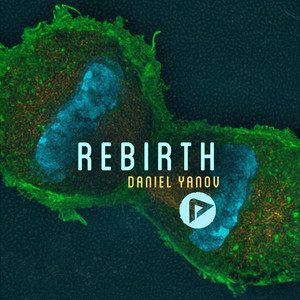 Rebirth