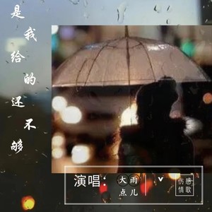是我给的还不够 (DJ版)