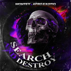 SEARCH AND DESTROY (feat. Afro Exotiq)