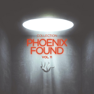 Phoenix Found Collection, Vol. 11