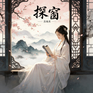 探窗