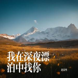我在深夜漂泊中找你