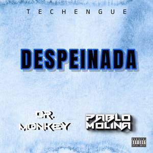 Despeinada (Techengue) (Explicit)