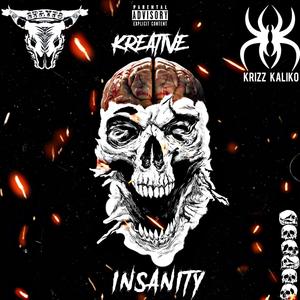 HURT EM (feat. Krizz Kaliko) (Explicit)