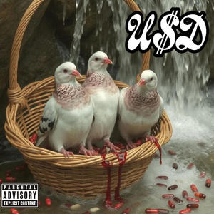 Pidgeon's (feat. UpState Drip & Buc$) (Explicit)