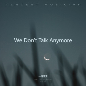 We Don't Talk Anymore