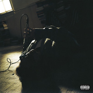 Fallin Into You (Explicit)