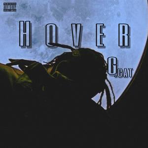 Hover (盘旋)
