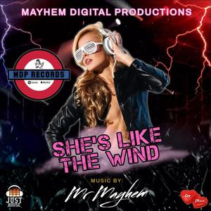 She's Like The Wind (feat. Mr Mayhem)