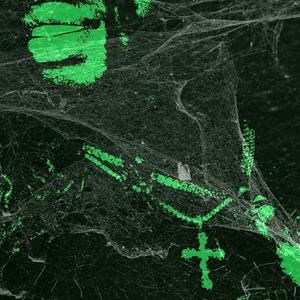 SILENCE (feat. Zaratti) (Explicit)