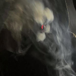 Flipped (feat. nly_lildmoney & 308murda) (Explicit)