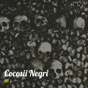 Cocosii Negri